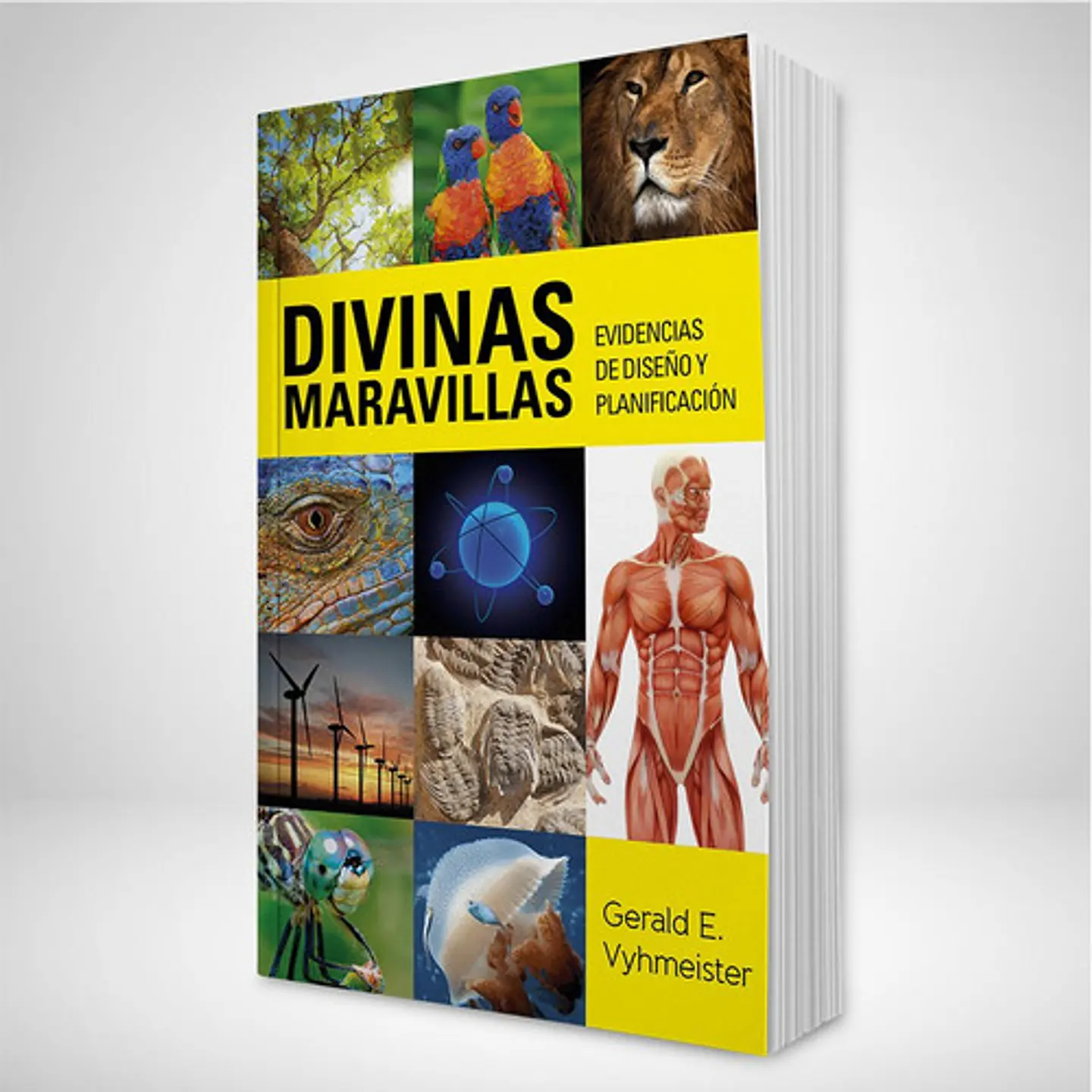 Divinas maravillas 1