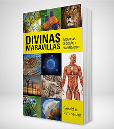 Divinas maravillas