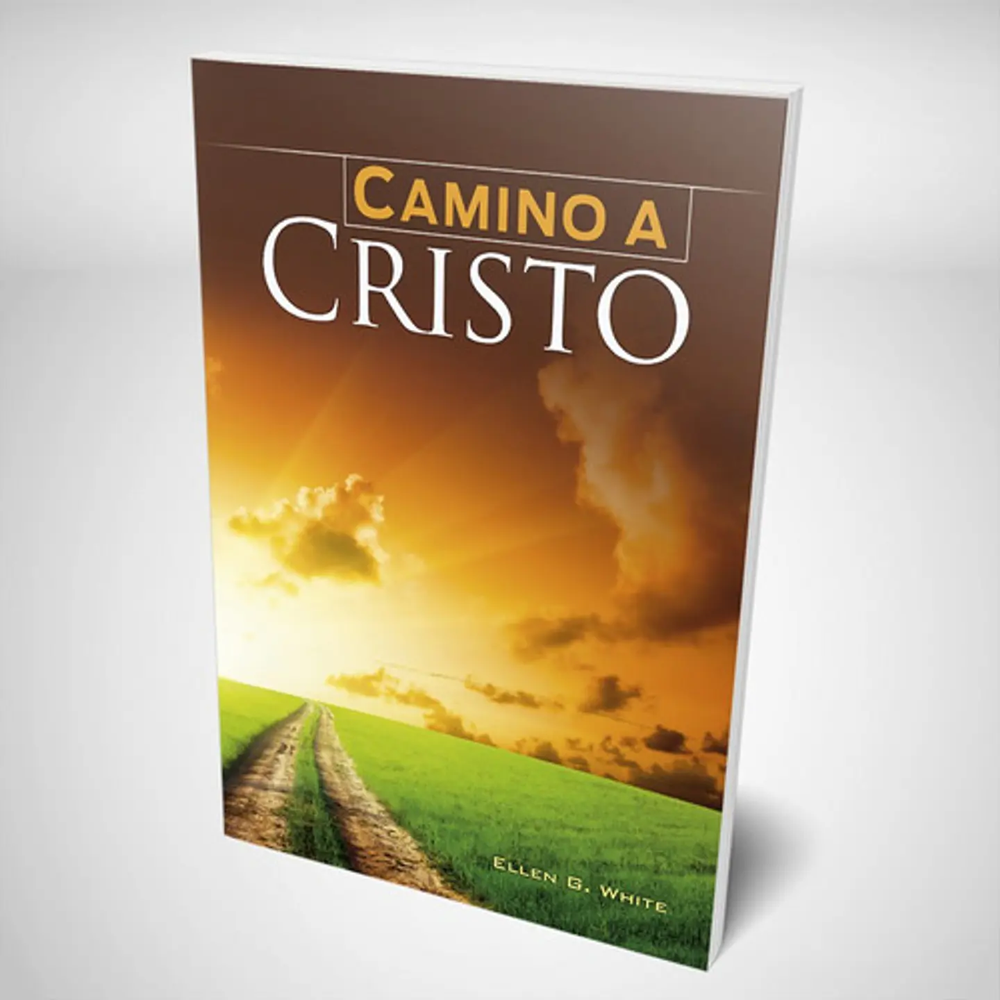 Camino a Cristo - Ilustrado 1