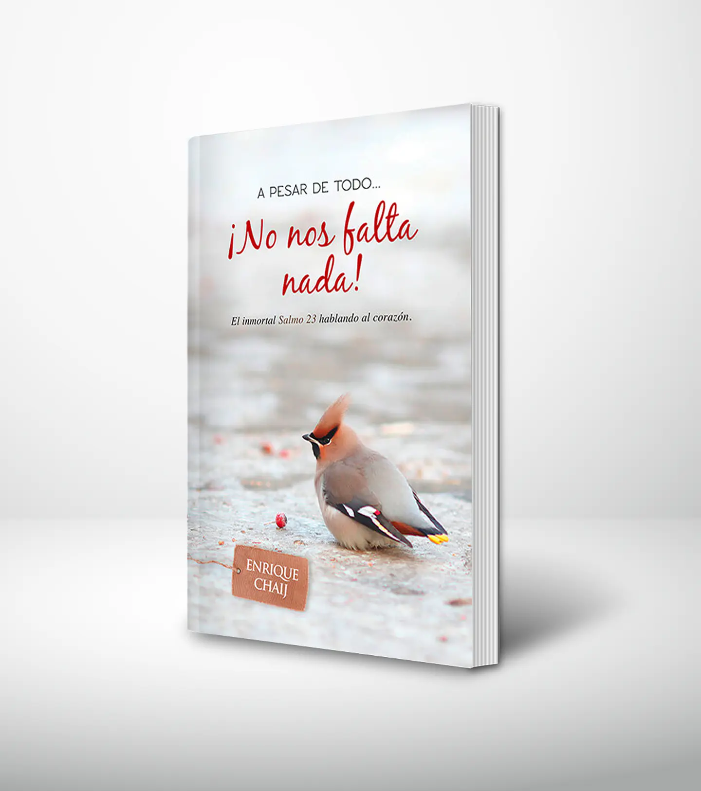 A pesar de todo… ¡No nos falta nada! 1