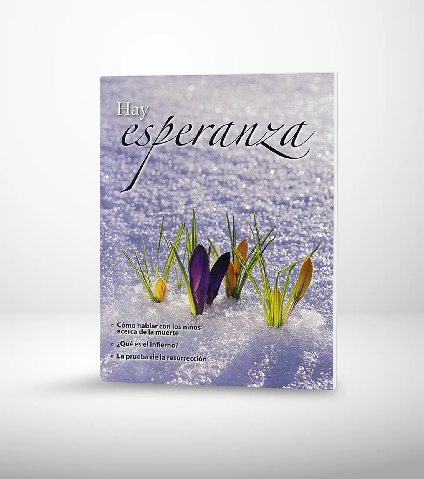 Hay esperanza  -  Revista 1