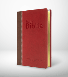 Biblia RVR 95  Letra Grande con himnario - Granate y chocolate