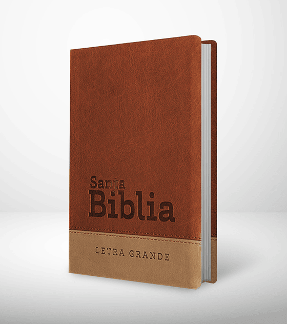 Biblia RVR 95  Letra Grande con himnario - Chocolate y gris