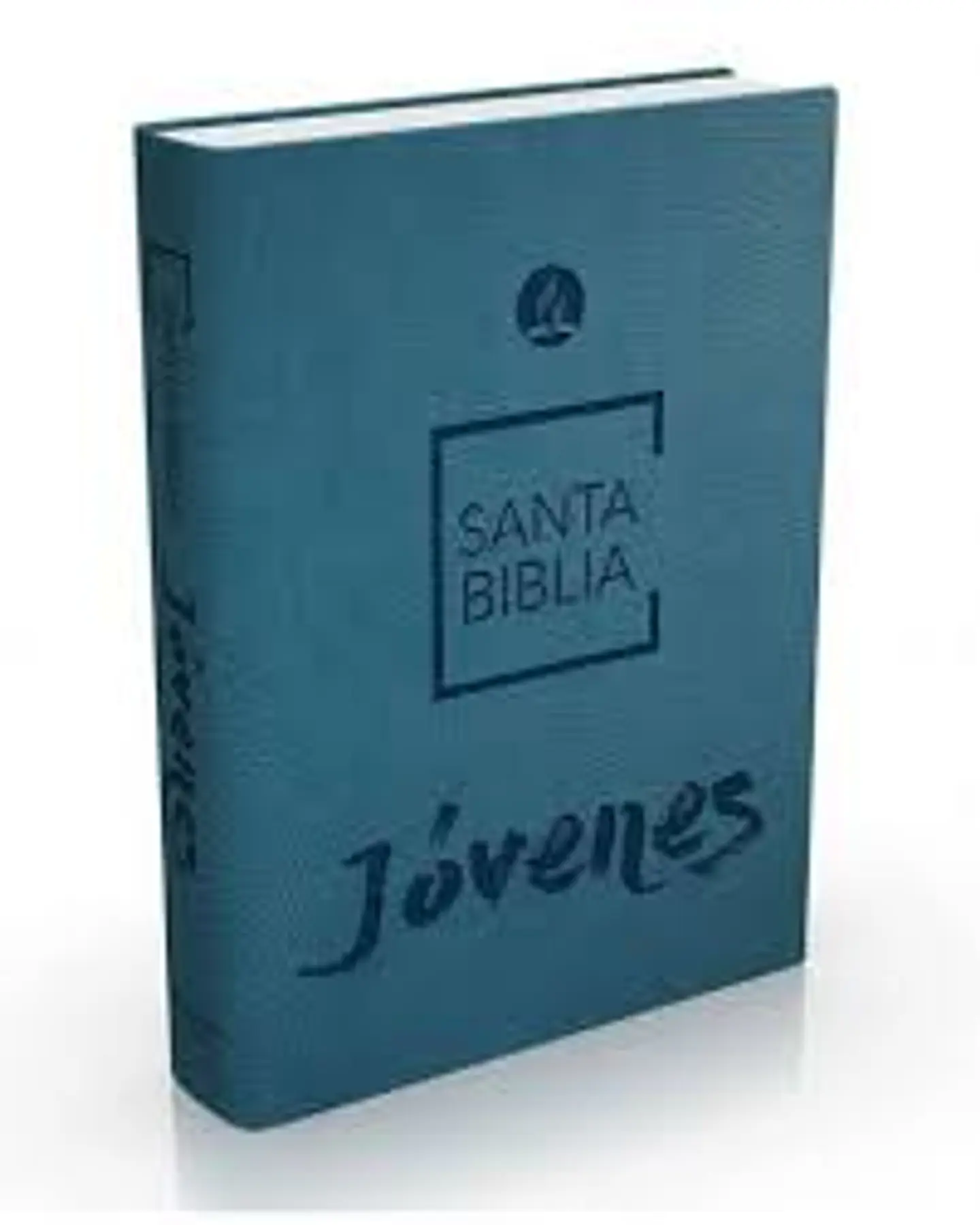 Biblia de jóvenes Azul 1