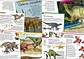 Dinosaurios increíbles  - Miniatura 2