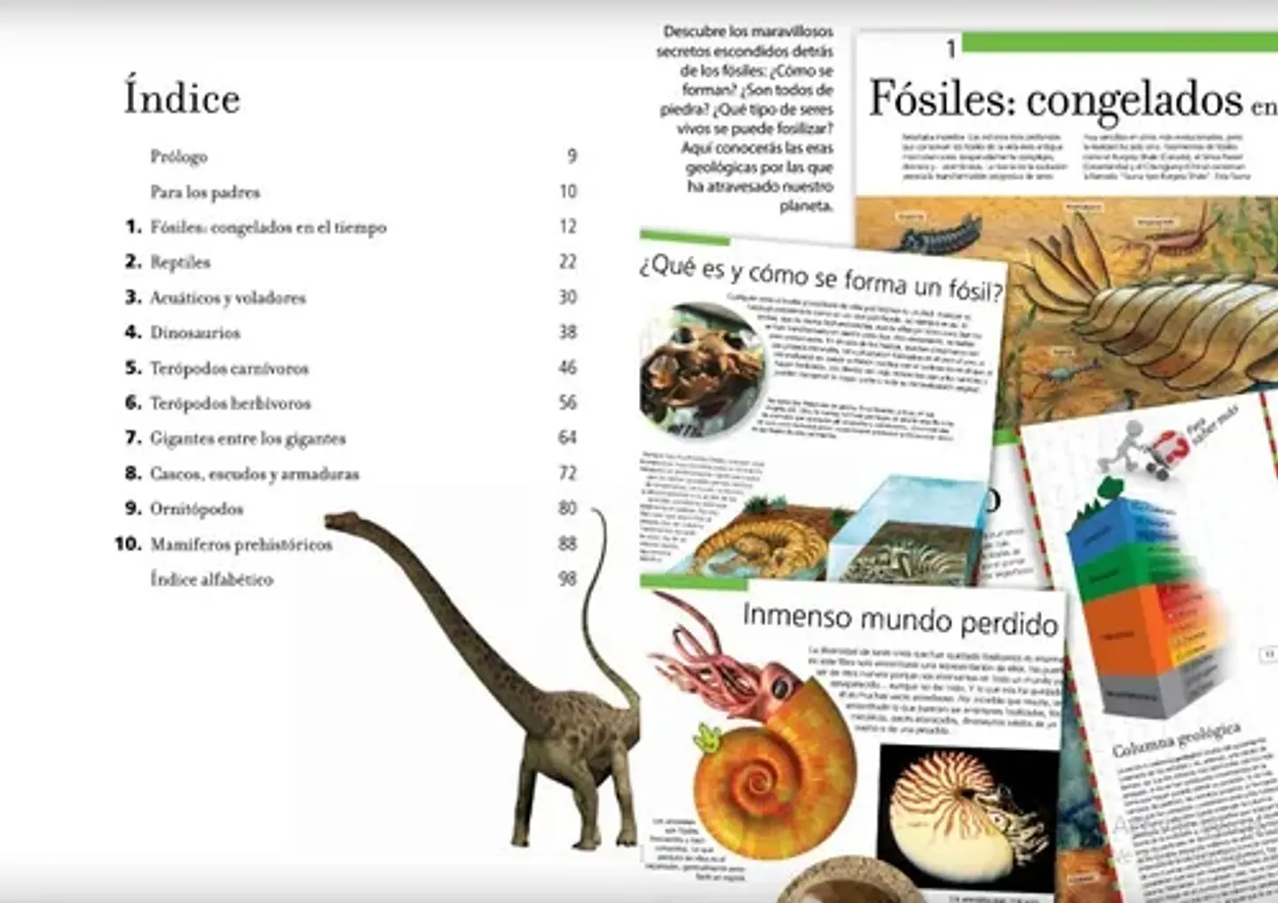 Dinosaurios increíbles  3