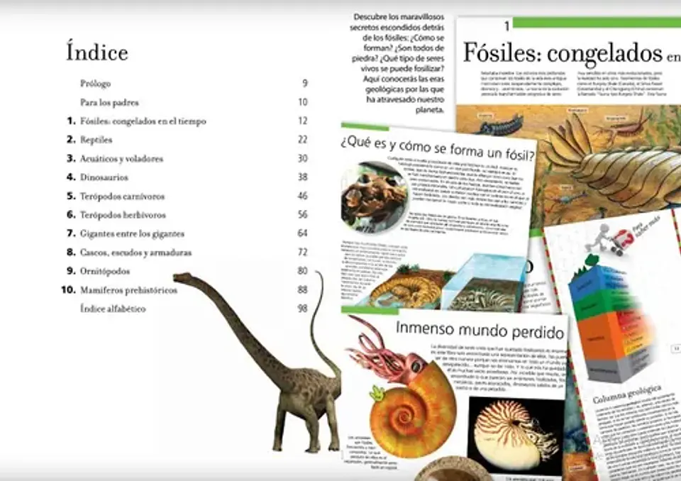 Dinosaurios increíbles  3