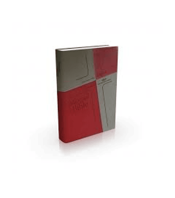 Biblia bilingüe roja RV 95- New King James