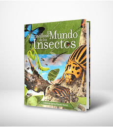 El maravilloso mundo de los insectos
