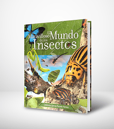 El maravilloso mundo de los insectos