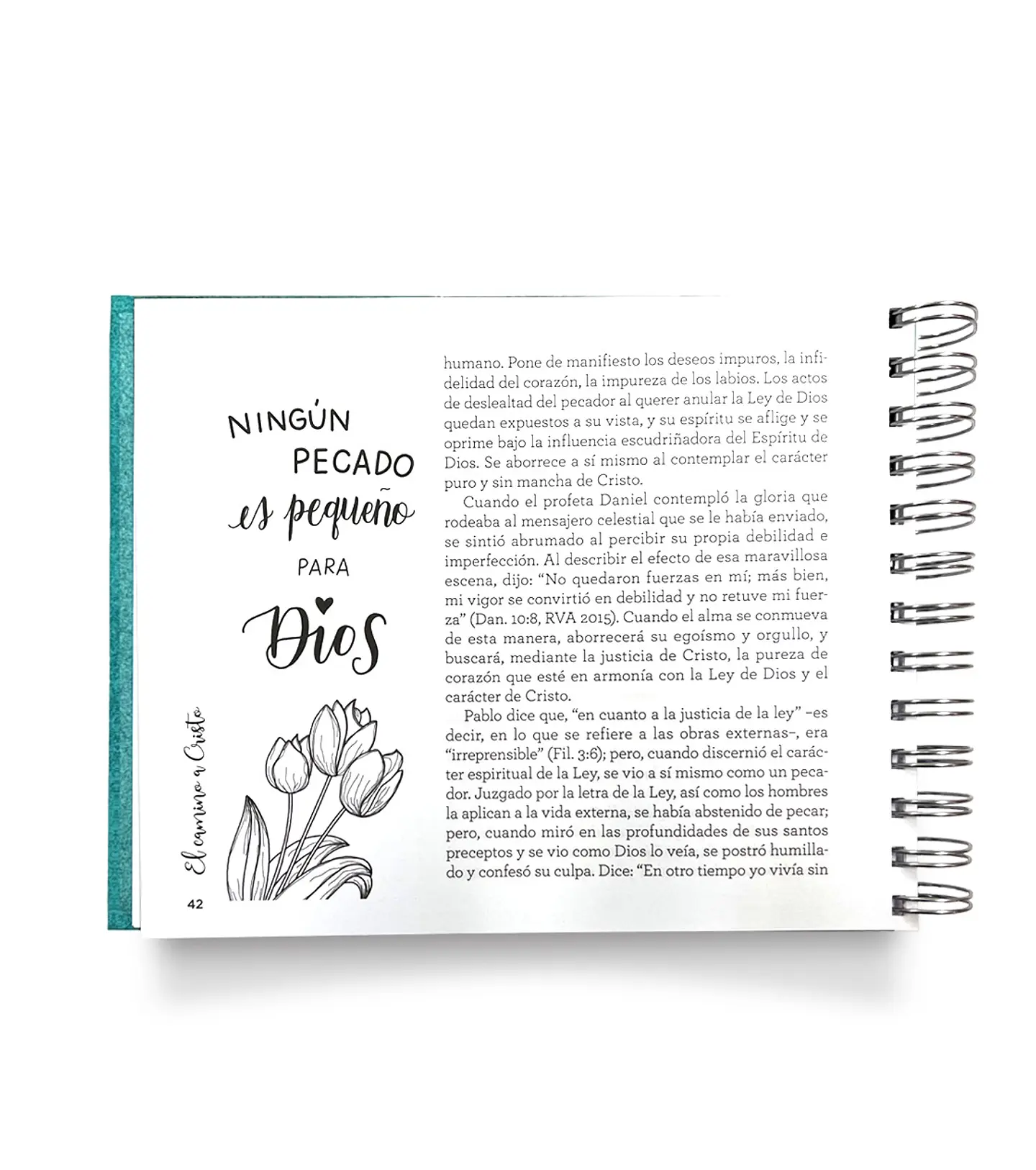 El camino a Cristo TD - Lettering anillado 2