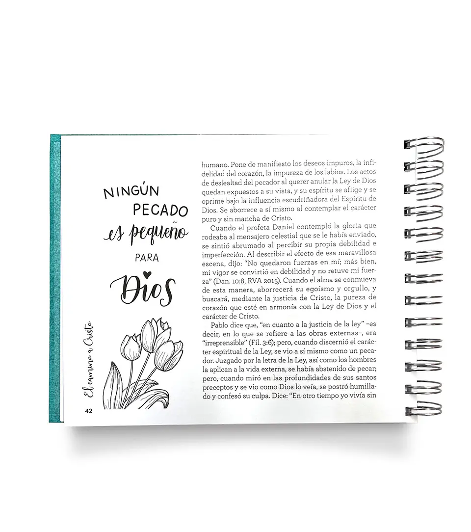 El camino a Cristo TD - Lettering anillado 2
