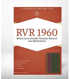 Biblia RVR 1960 letra grande tamaño manual 