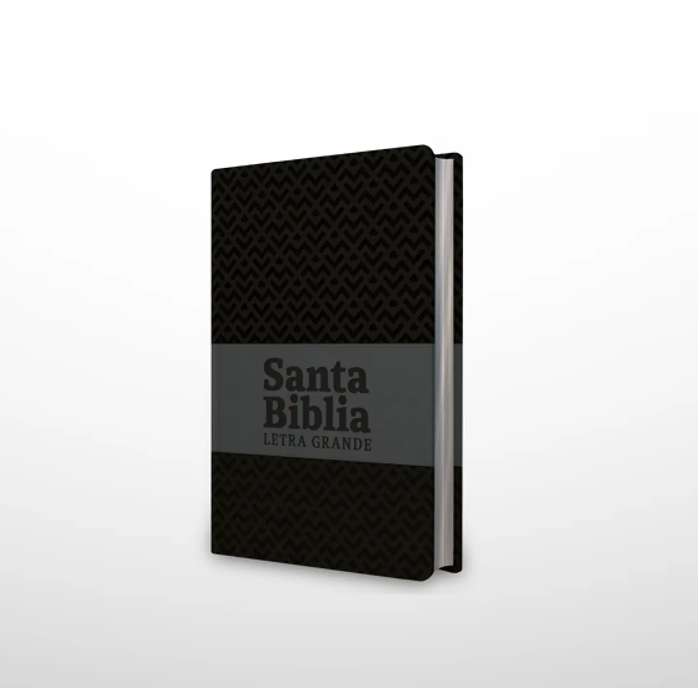 Biblia NRV 2000 ACT LG – Negro/gris – Símil piel 1