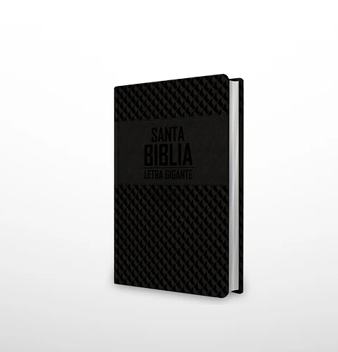 Biblia NRV 2000 ACT LGig – Negro