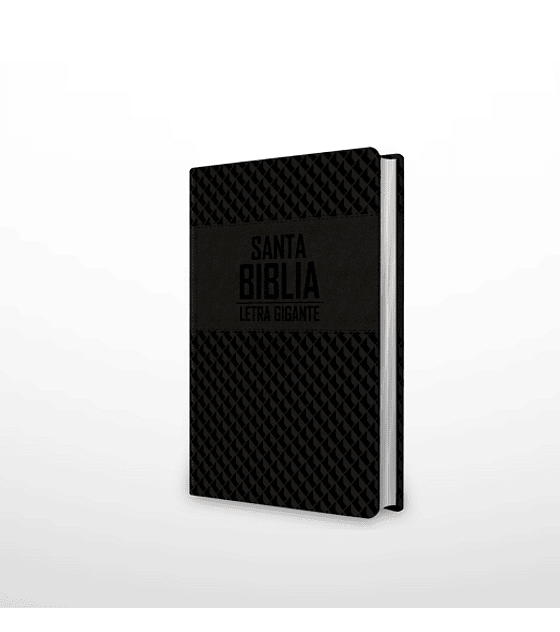 Biblia NRV 2000 ACT LGig – Negro