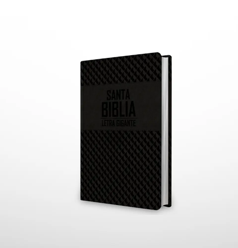Biblia NRV 2000 ACT LGig – Negro 1