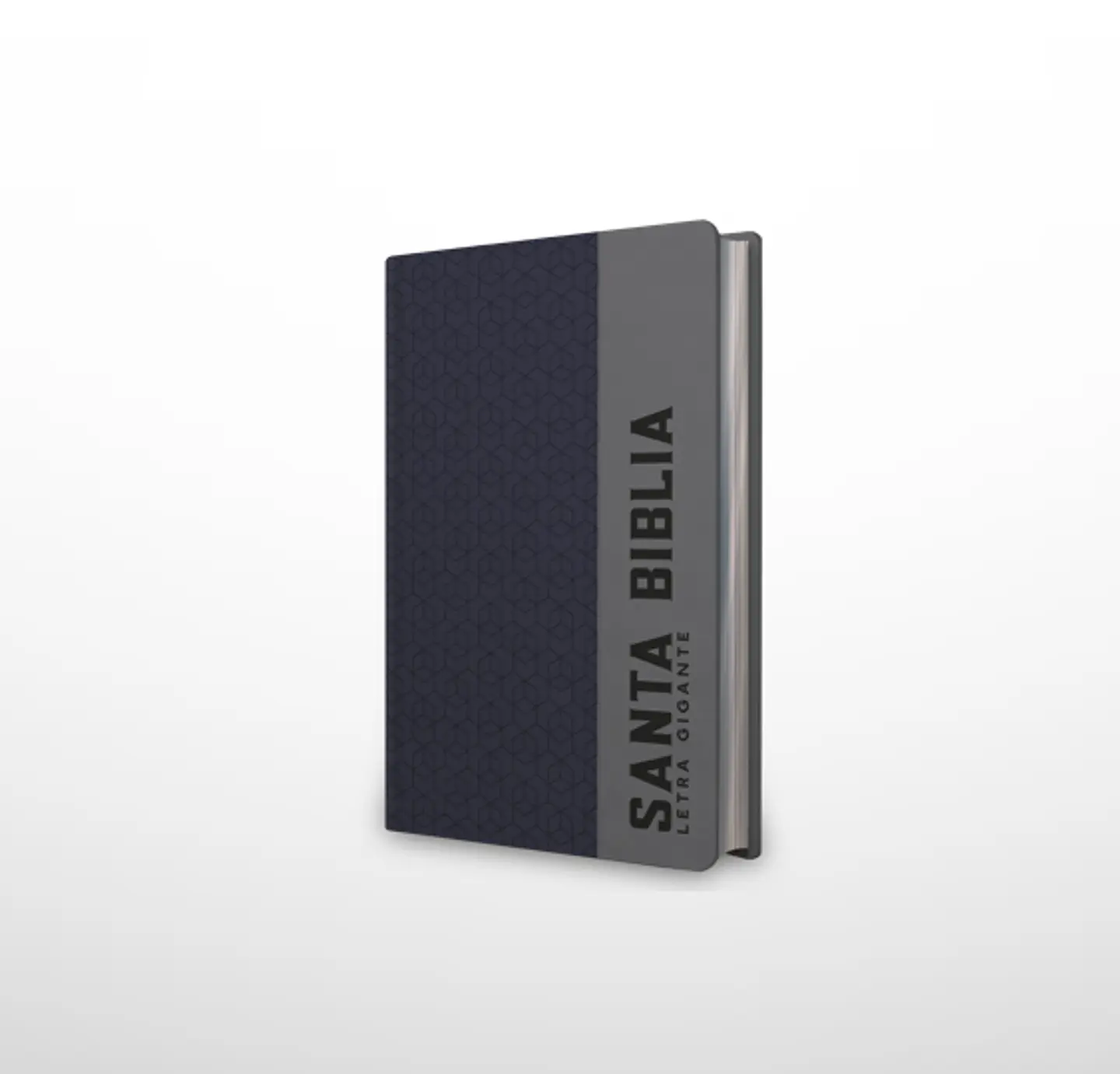 Biblia NRV 2000 ACT LGig – Azul/gris (hexágonos) 1