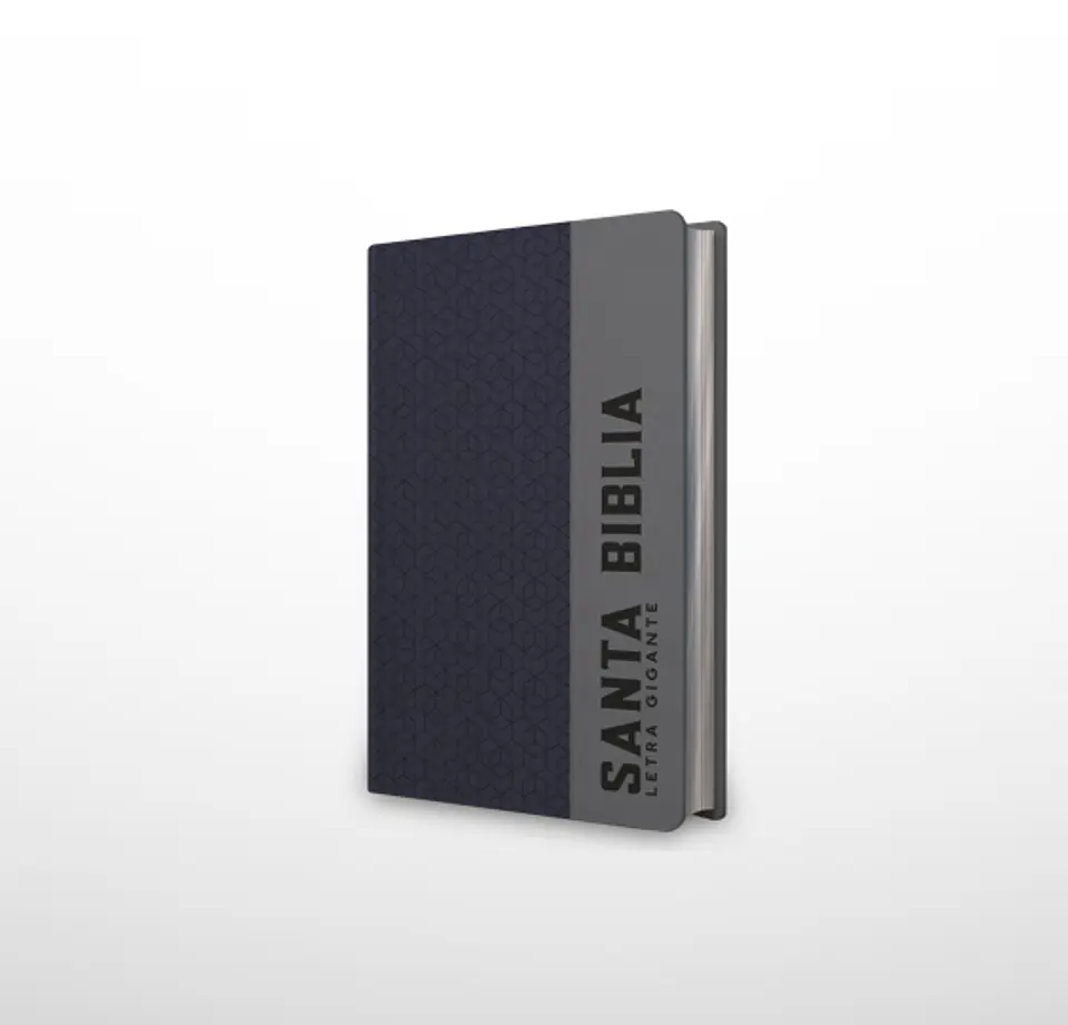 Biblia NRV 2000 ACT LGig – Azul/gris (hexágonos) 1