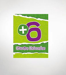 COMBO +6 - 3 LIBROS (Lengua y Com. - Cs.Naturales - Matemática)