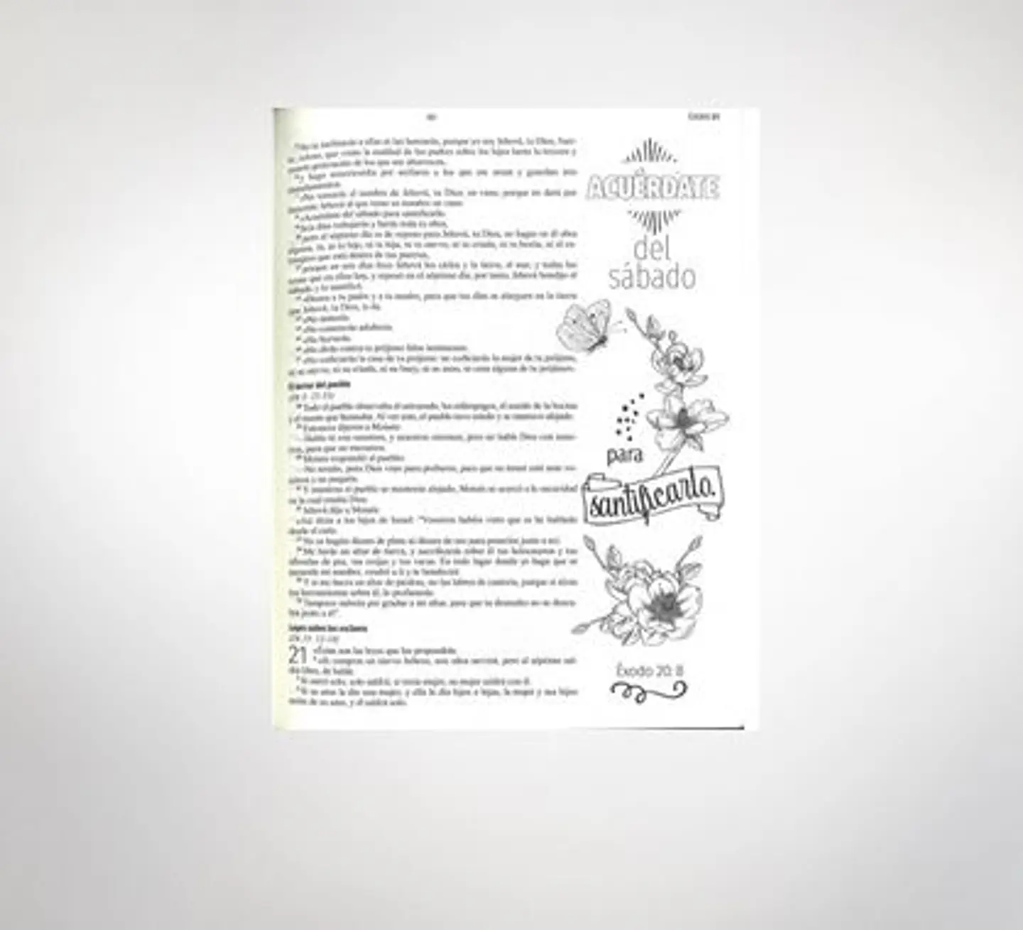 Biblia de la mujer Creativa- café claro 2