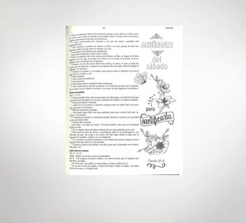 Biblia de la mujer Creativa- azul 2