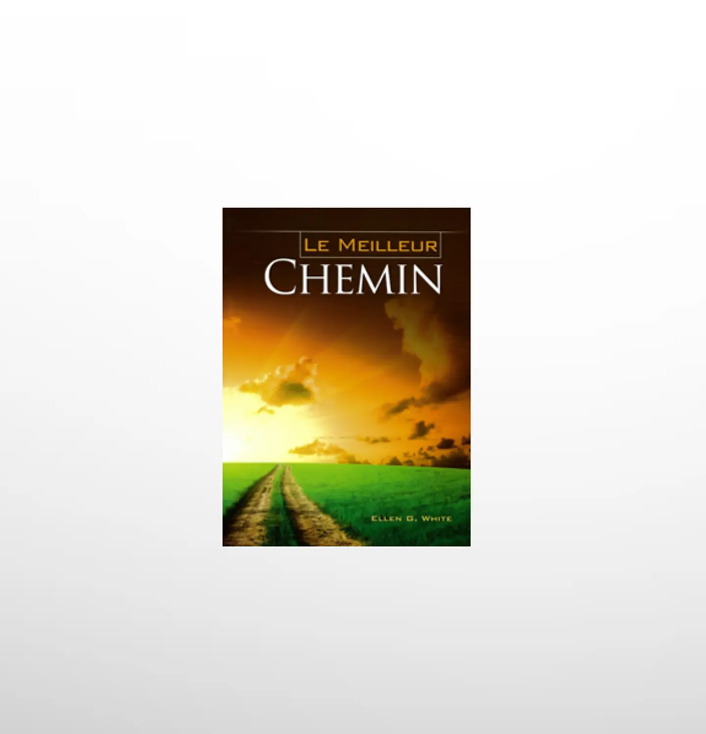 Camino a Cristo Frances Ilustrado- Le Meilleur Chemin  1