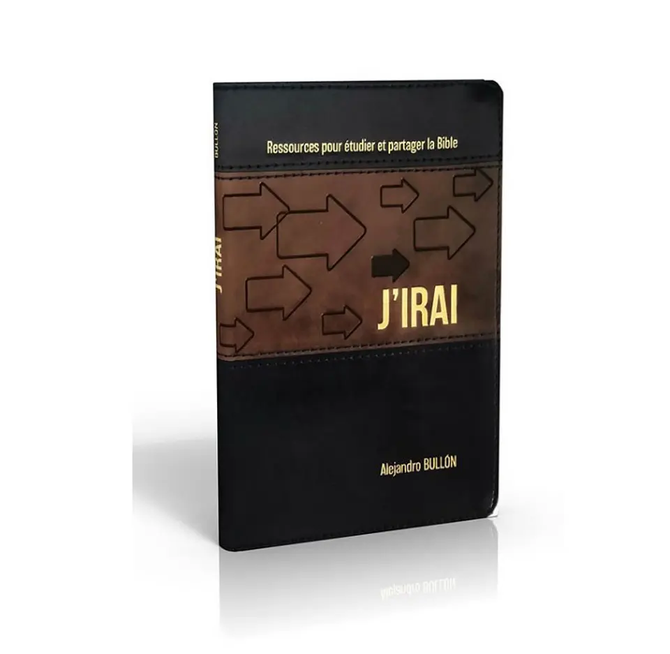 j'irai  - Yo iré Francés  1