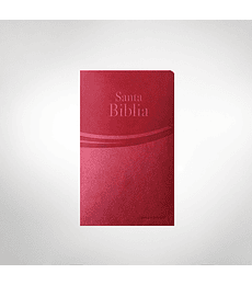 Biblia RV 1995 letra grande Safeliz Granate 