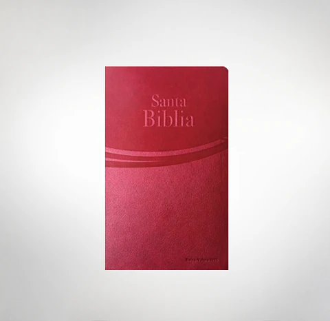 Biblia RV 1995 letra grande Safeliz Granate 