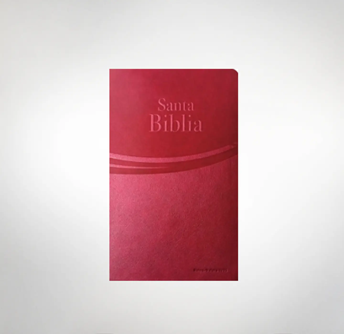 Biblia RV 1995 letra grande Safeliz Granate  1