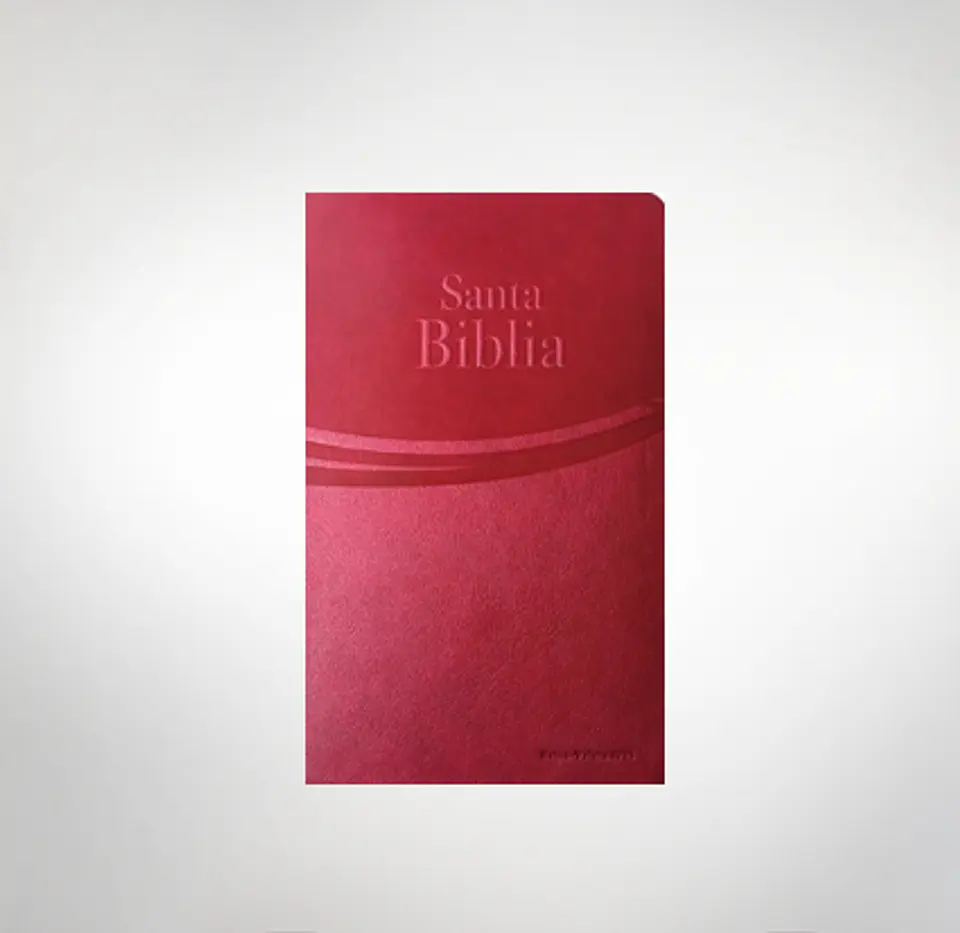 Biblia RV 1995 letra grande Safeliz Granate  1