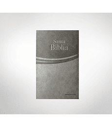 Biblia RV 1995 letra grande Safeliz Gris