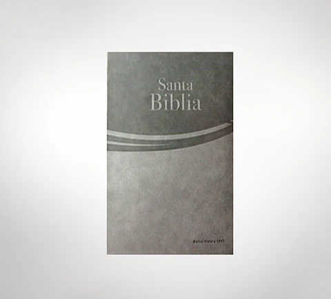 Biblia RV 1995 letra grande Safeliz Gris