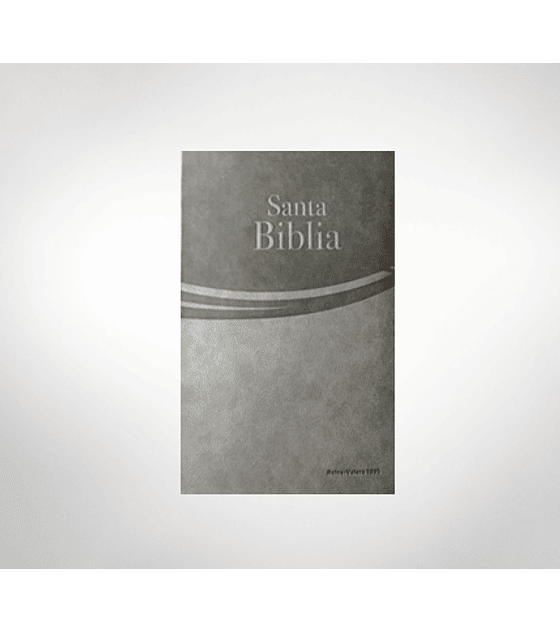 Biblia RV 1995 letra grande Safeliz Gris