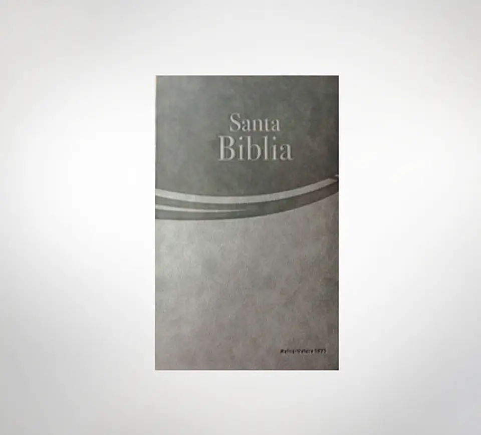 Biblia RV 1995 letra grande Safeliz Gris 1