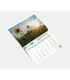 Calendario ACES  Flores 2024
