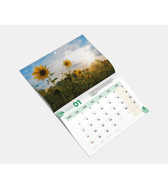 Calendario ACES  Flores 2024