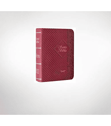 Biblia RV contemporánea /compacta -  Burdeo