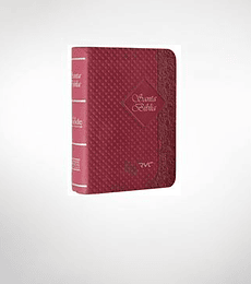 Biblia RV contemporánea /compacta -  Burdeo