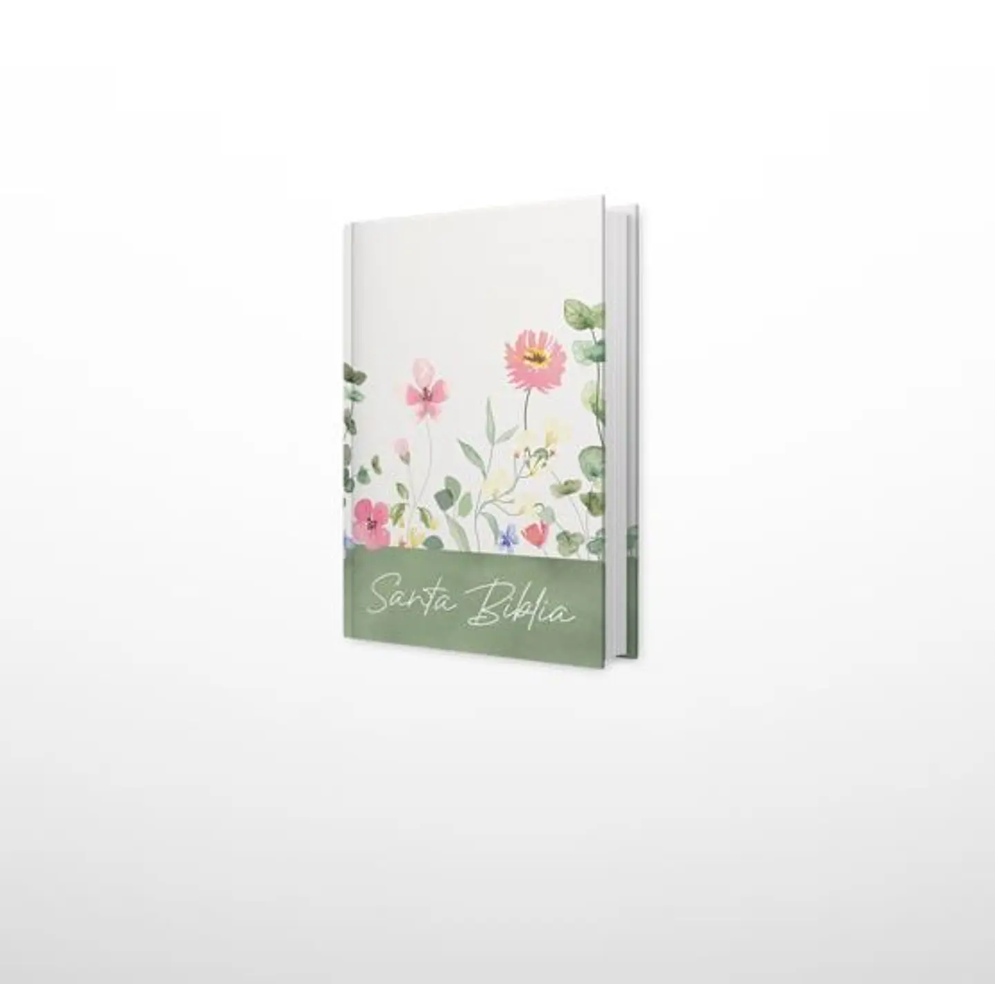Biblia NRV 2000 ACT - primavera 1