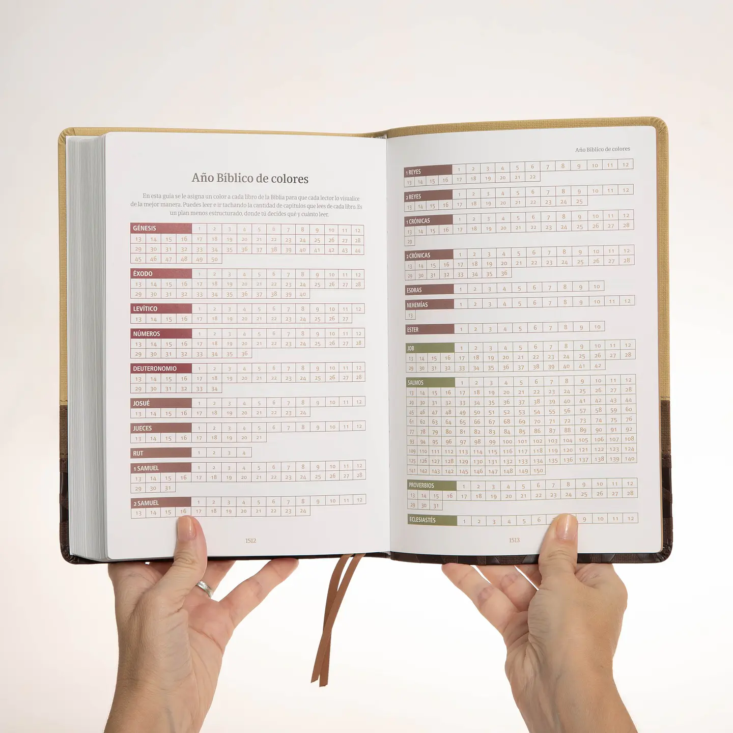 Biblia devocional (comentada por A. Bullón) - Turquesa 6