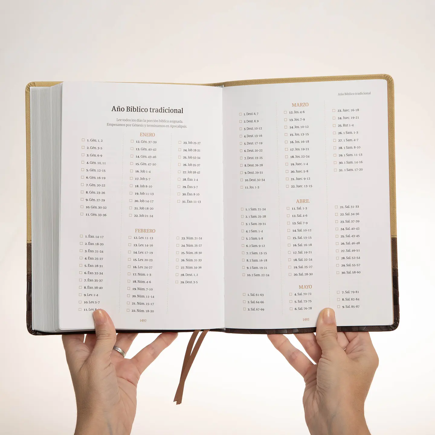 Biblia devocional (comentada por A. Bullón) - Perla 4