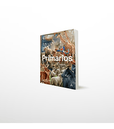 GEB Primarios  1T- 2026 