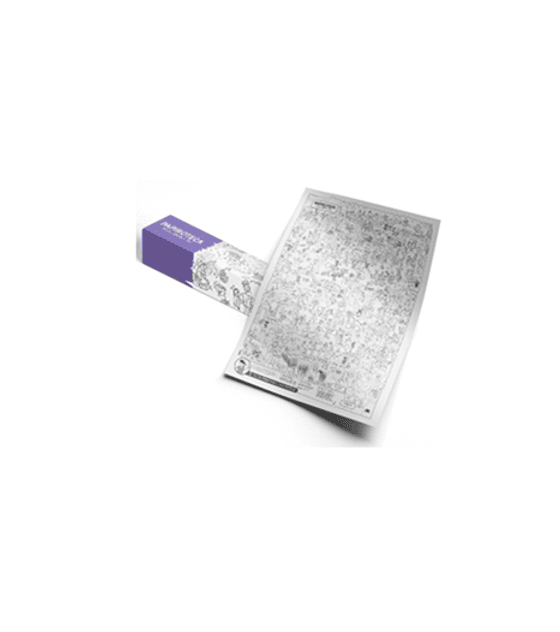 Papiroteca: Lámina 02 - Yo soy perdonado y acompañado 