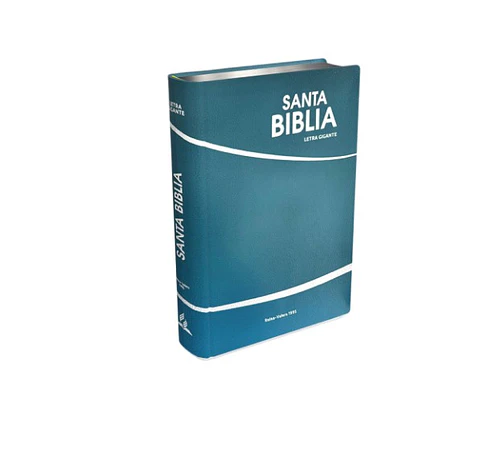 Biblia letra gigante celeste - Safeliz