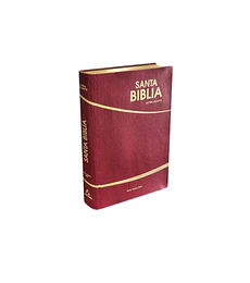 Biblia letra gigante bordo - Safeliz