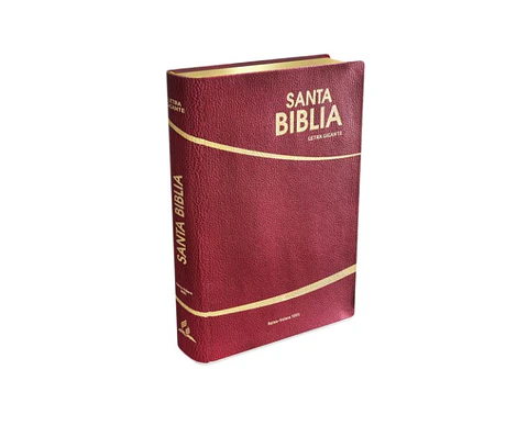 Biblia letra gigante bordo - Safeliz