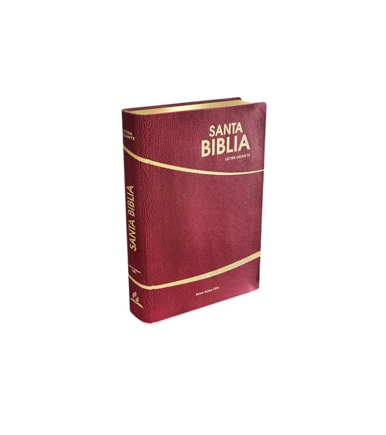 Biblia letra gigante bordo - Safeliz