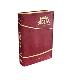 Biblia letra gigante bordo - Safeliz